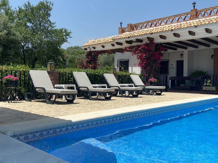 Pool with swim-up bar